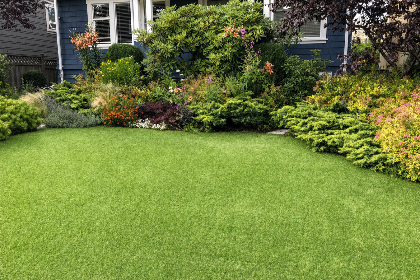 Drought-tolerant turf in San Dimas, CA